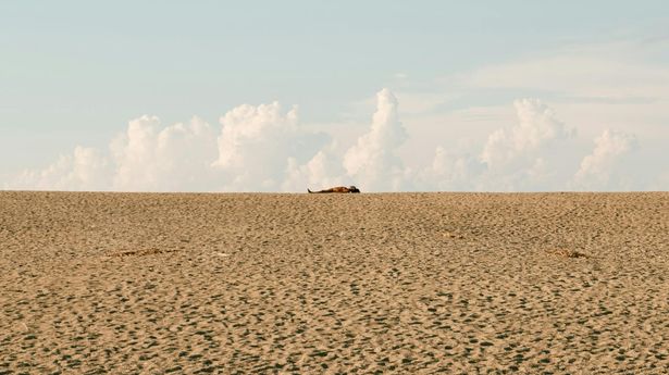 Wide shot of a person practicing outdoors with a natural landscape background.